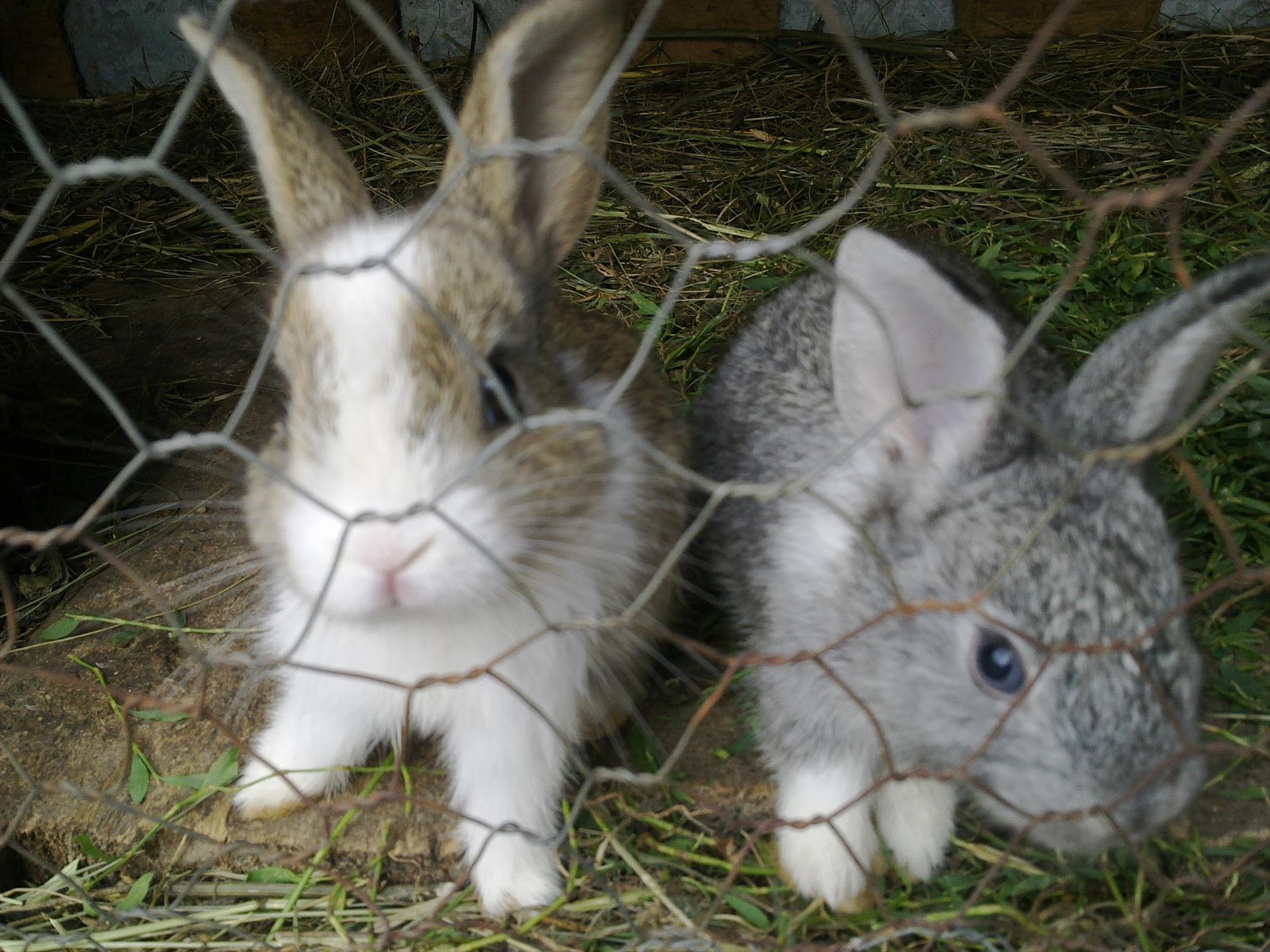 diverse - 10072013256.jpg